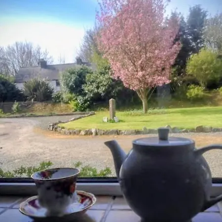 Buvinda * Drogheda
