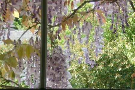 Buvinda Quarto em Acomodações Particulares Drogheda