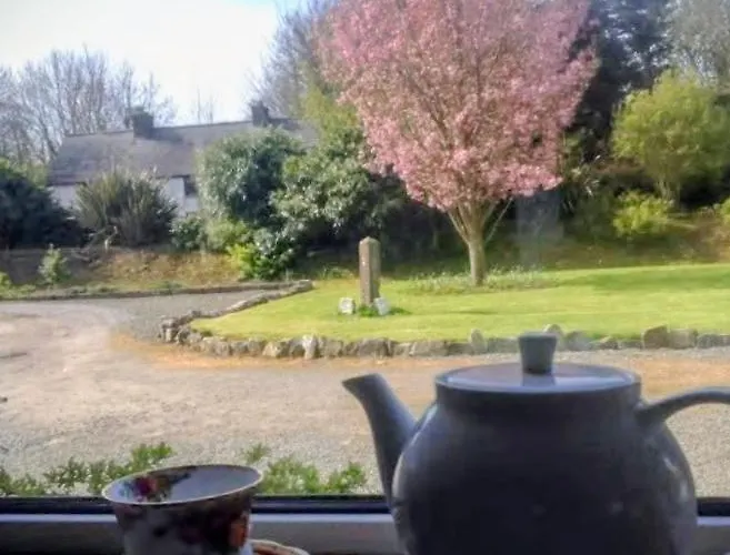 Buvinda * 드로이다